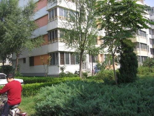 和平锦苑爆料最新消息,揭秘社区发展新动态 第3张 和平锦苑爆料最新消息,揭秘社区发展新动态 第3张